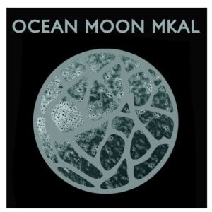 Ambah O’Brien Ocean Moon Shawl Kits