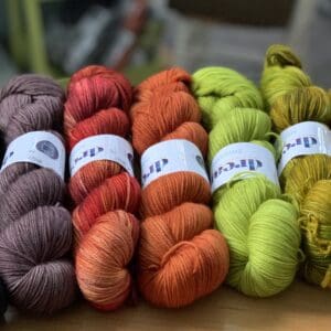 Dream in Color Smooshy hand dyed